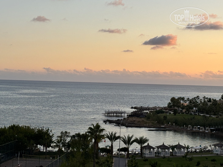 New photos from tourists Lonicera Premium 5*