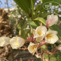 фото из отзыва ID 2744108