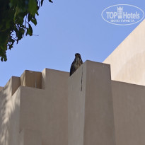 фото из отзыва ID 2744111