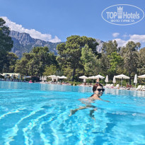 фото из отзыва ID 2744123