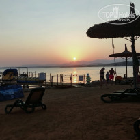 фото из отзыва ID 2744132