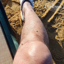 фото из отзыва ID 2744132