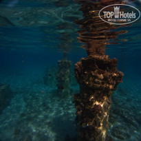 фото из отзыва ID 2744147