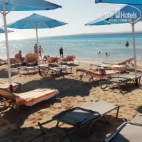 фото из отзыва ID 2744147