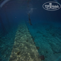 фото из отзыва ID 2744147