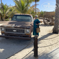 фото из отзыва ID 2744154