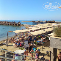 фото из отзыва ID 2744153