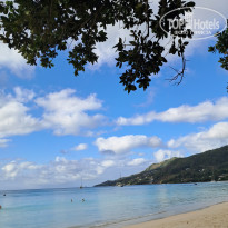 фото из отзыва ID 2744165