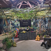 фото из отзыва ID 2744165