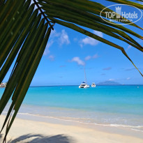 фото из отзыва ID 2744165