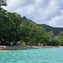 фото из отзыва ID 2744165