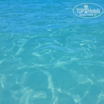 фото из отзыва ID 2744165