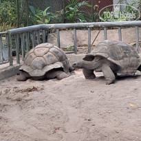 фото из отзыва ID 2744165