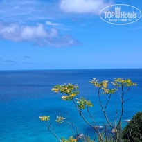 фото из отзыва ID 2744165