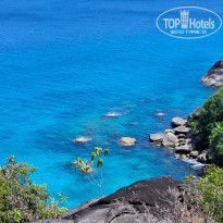 фото из отзыва ID 2744165