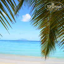 фото из отзыва ID 2744165