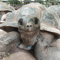 фото из отзыва ID 2744165