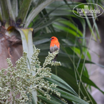 фото из отзыва ID 2744165