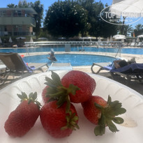 фото из отзыва ID 2744190