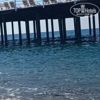 фото из отзыва ID 2744195