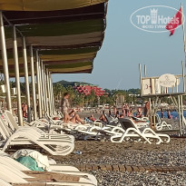 фото из отзыва ID 2744195