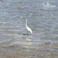 фото из отзыва ID 2744196