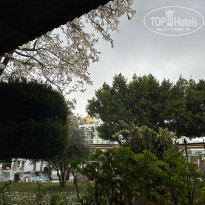 фото из отзыва ID 2740053