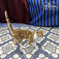 фото из отзыва ID 2740053