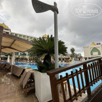 фото из отзыва ID 2740053