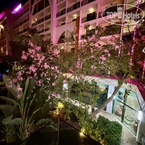 фото из отзыва ID 2740053