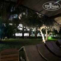 фото из отзыва ID 2740053