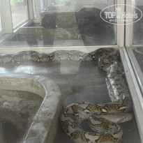 фото из отзыва ID 2744207