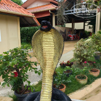 фото из отзыва ID 2744207