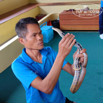 фото из отзыва ID 2744207