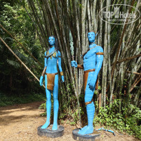 фото из отзыва ID 2744207