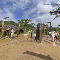 фото из отзыва ID 2744207