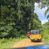 фото из отзыва ID 2744207