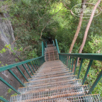 фото из отзыва ID 2744207