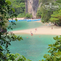 фото из отзыва ID 2744207