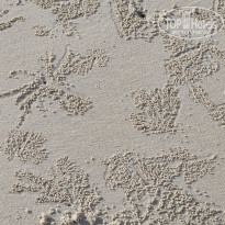 фото из отзыва ID 2744207