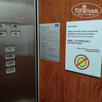 фото из отзыва ID 2744207