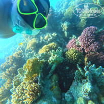 фото из отзыва ID 2744107