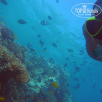 фото из отзыва ID 2744107