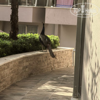 фото из отзыва ID 2744230