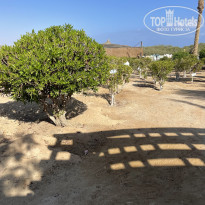 фото из отзыва ID 2742750