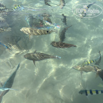 фото из отзыва ID 2744237