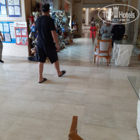 фото из отзыва ID 2743964