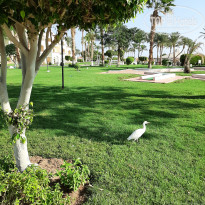 фото из отзыва ID 2743964