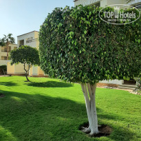 фото из отзыва ID 2743964