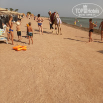 фото из отзыва ID 2743964